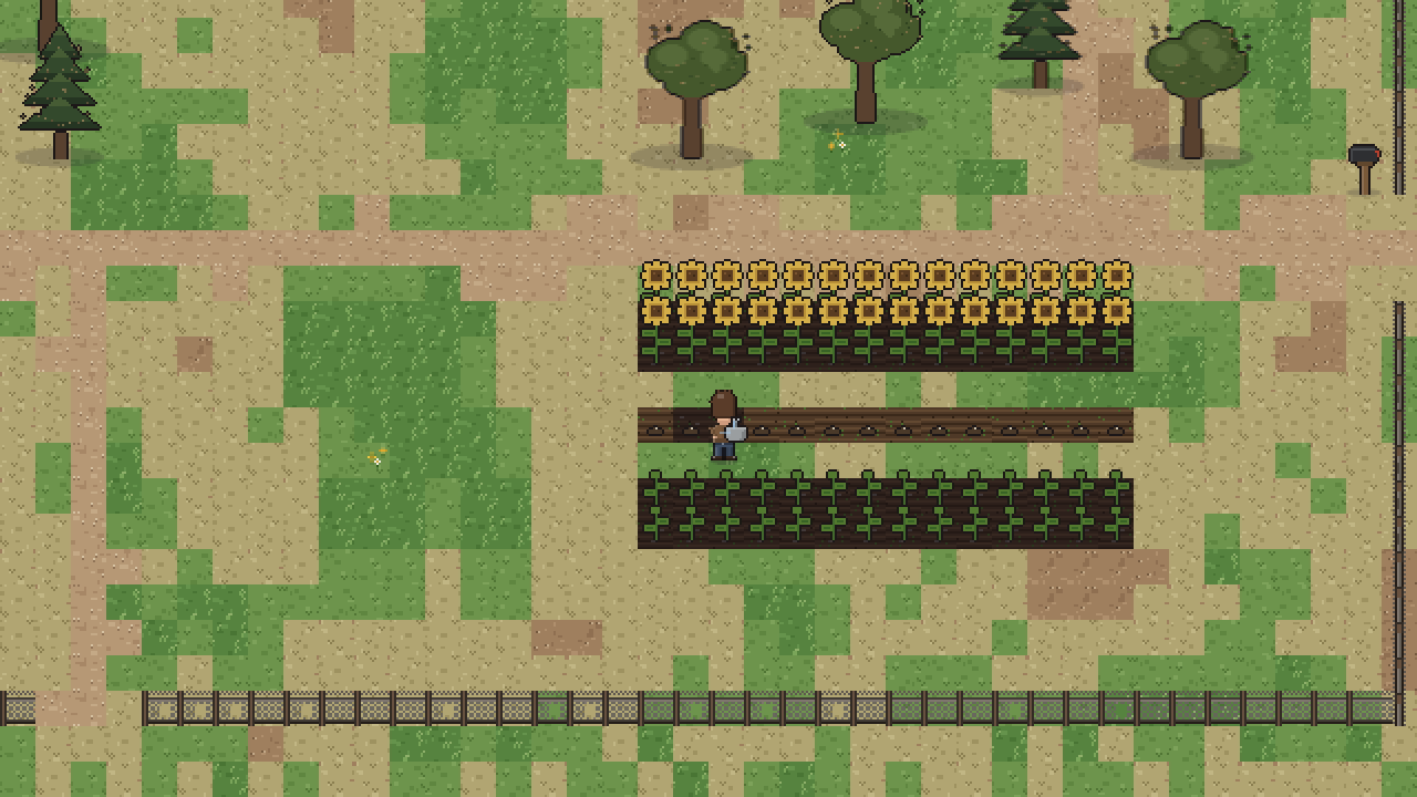 Watering rows of sunflowers on the farm.